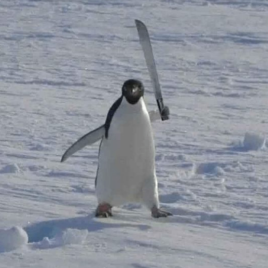 Olivia (lbvshvchnk.lens) Lens social identity (.lens handle) PFP