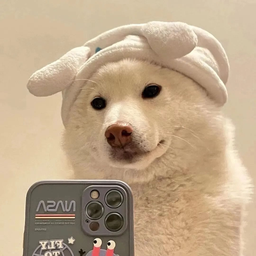 reason (floralr.lens) Lens social identity (.lens handle) PFP