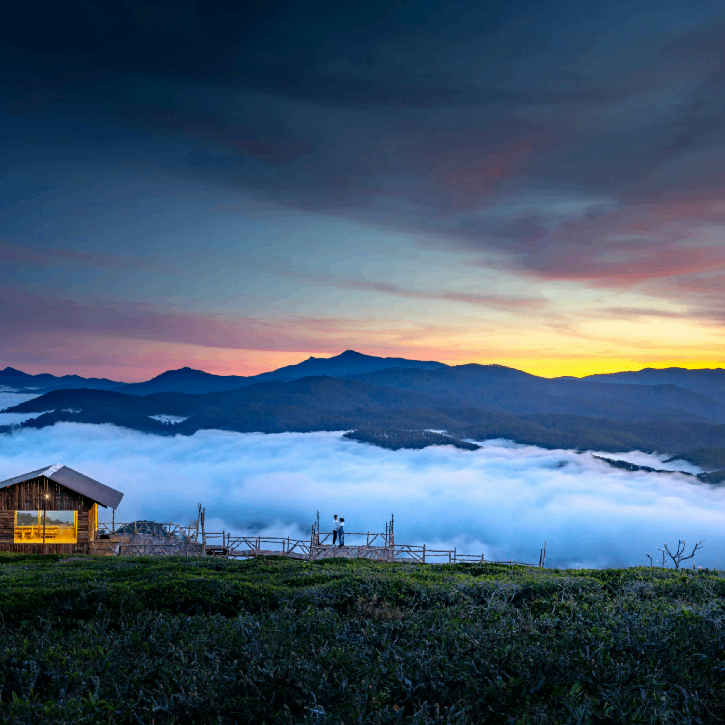 Elown (elown.lens) Lens social identity (.lens handle) PFP