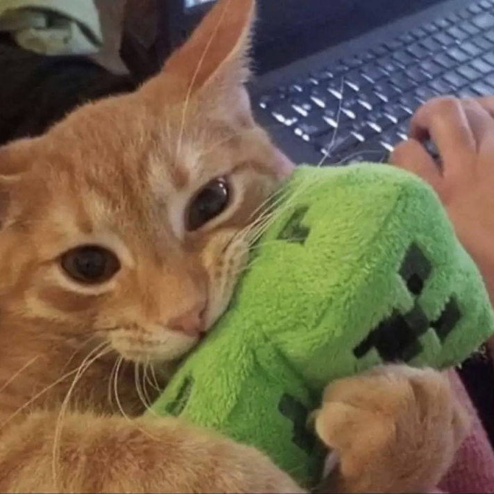 ezik (ezxcik1.lens) Lens social identity (.lens handle) PFP