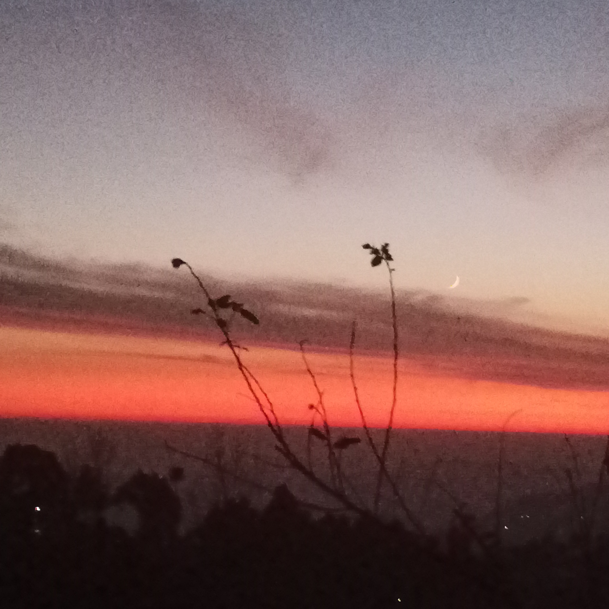 Shazaib khan (735shazaib393.lens) Lens social identity (.lens handle) PFP