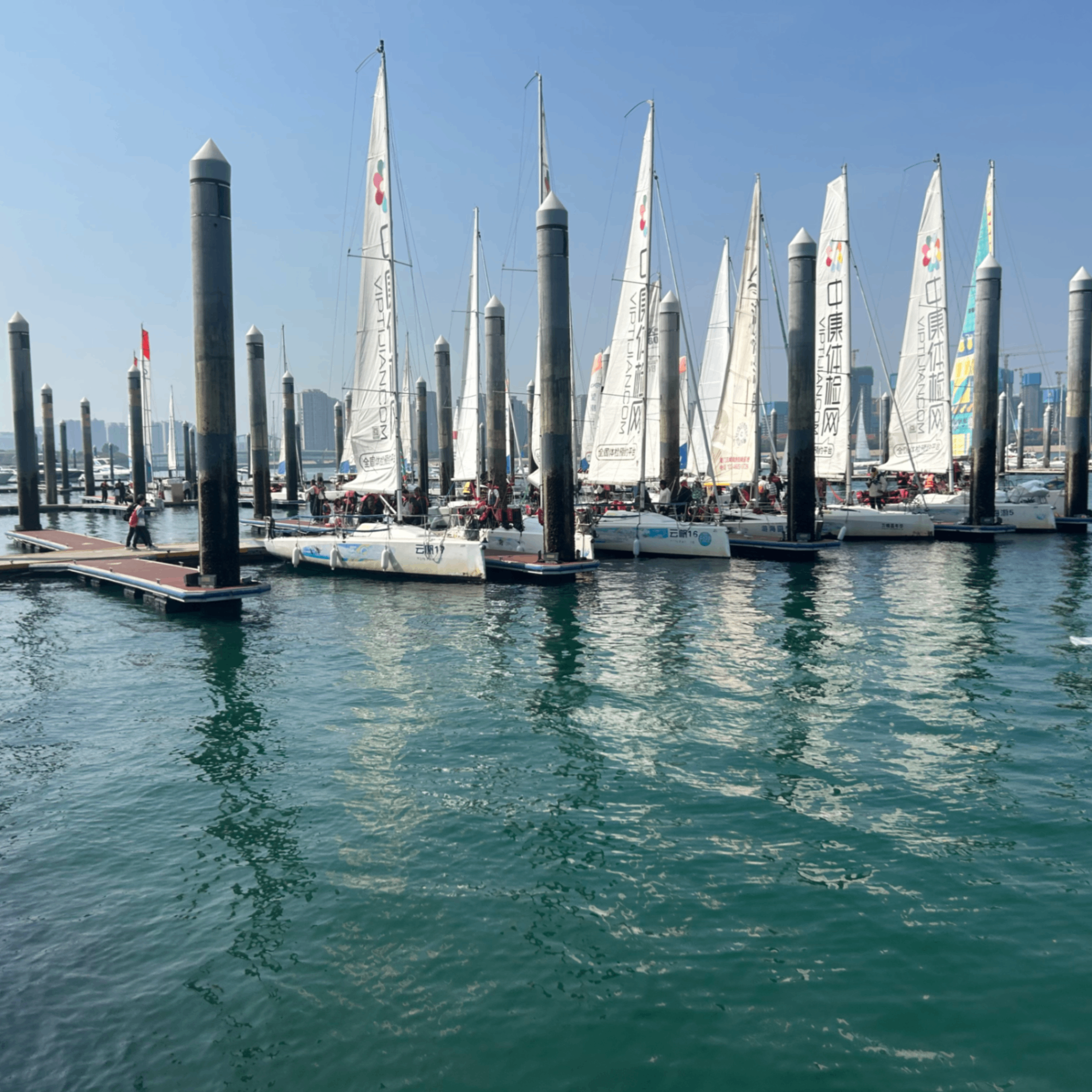 z36 (zksync36.lens) Lens social identity (.lens handle) PFP