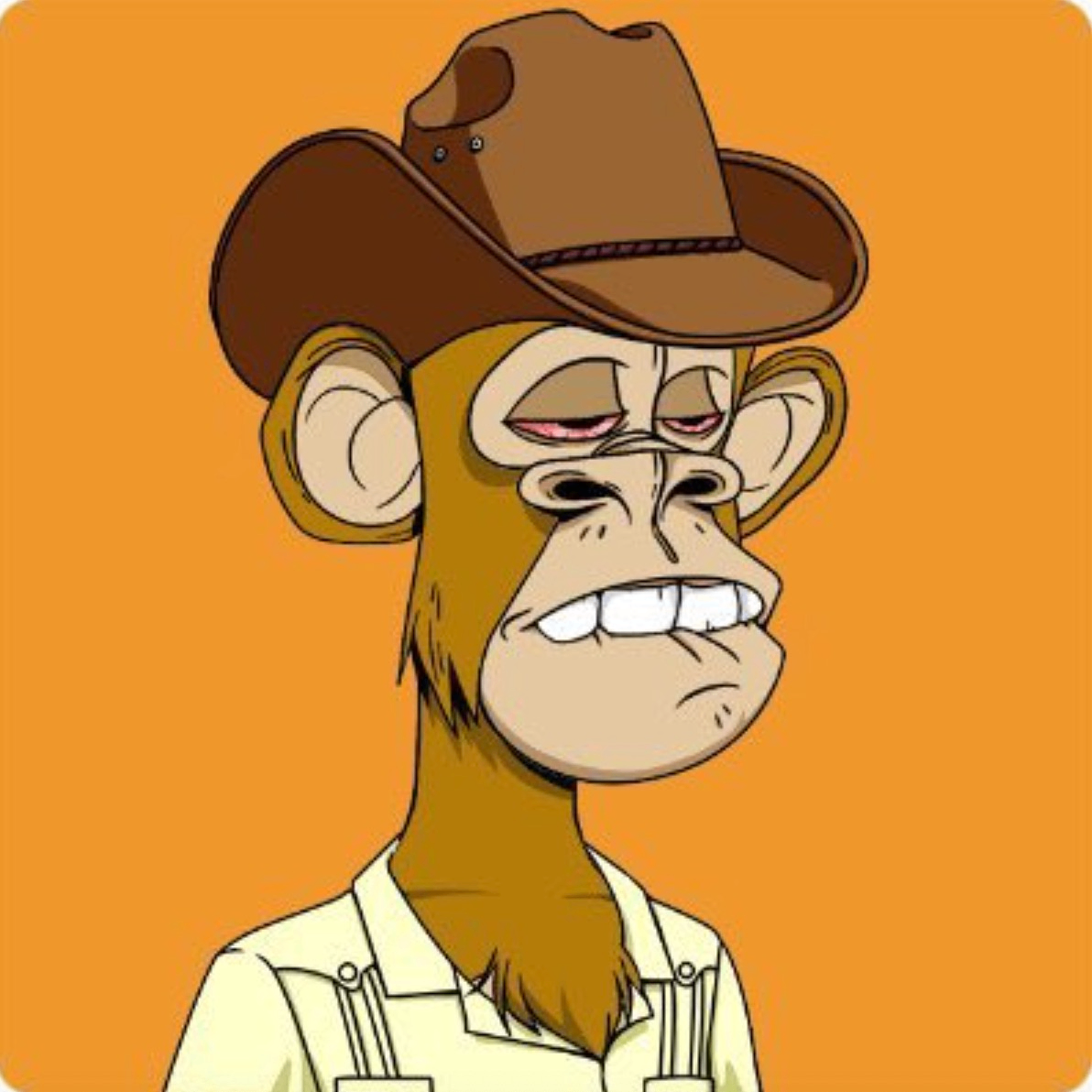 begin (begin.lens) Lens social identity (.lens handle) PFP