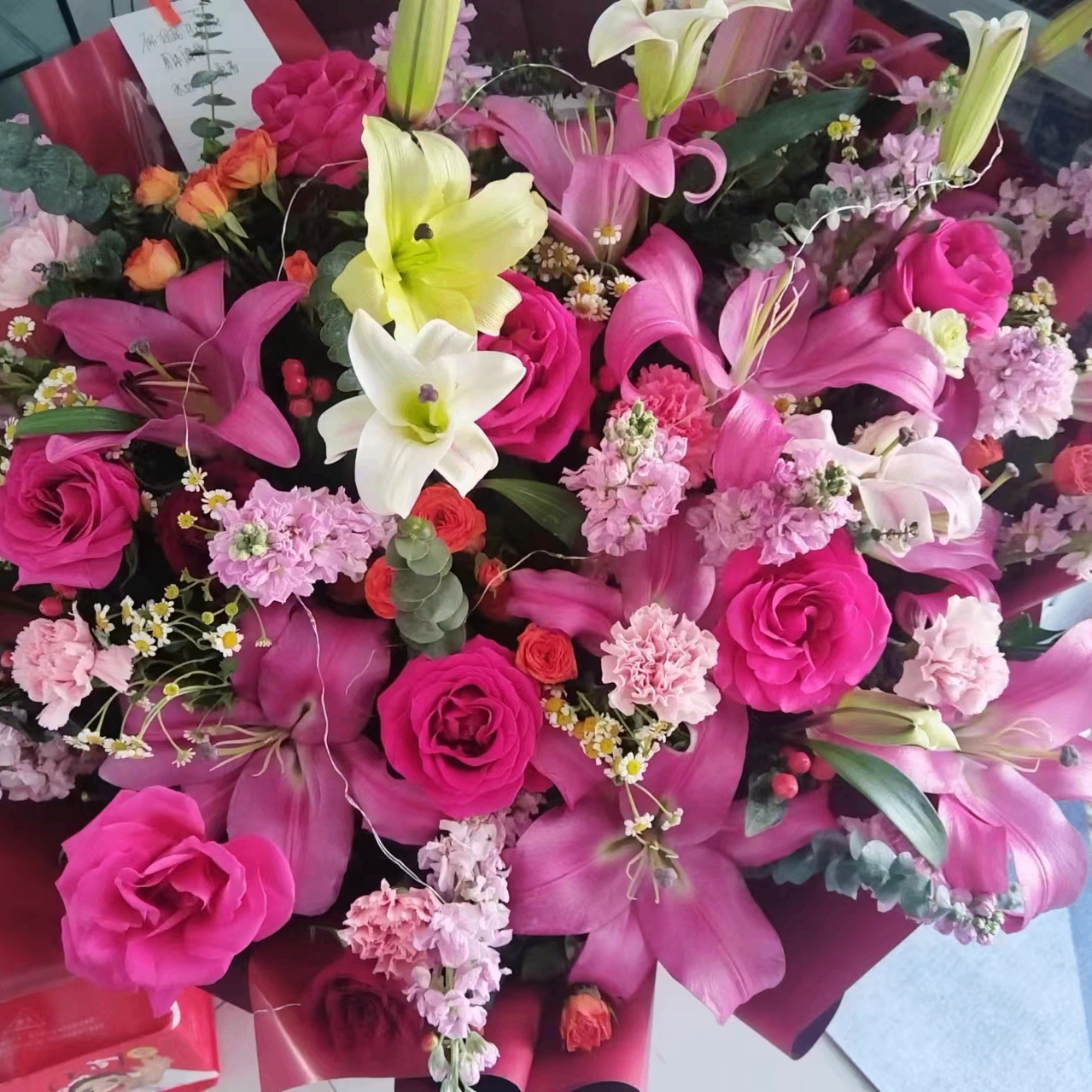 天空之城 (tiankongzhicheng.lens) Lens social identity (.lens handle) PFP