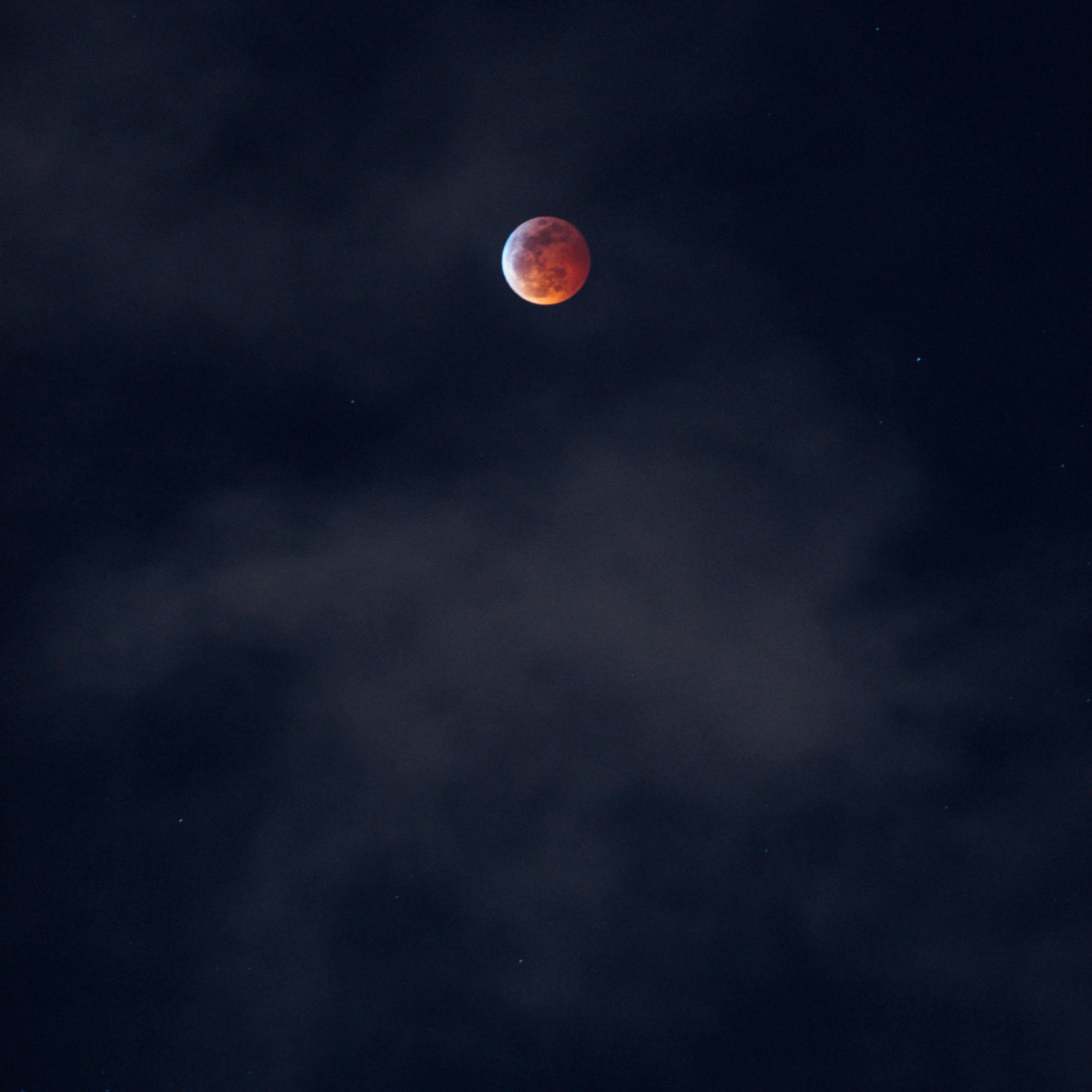 Segio (segio.lens) Lens social identity (.lens handle) PFP