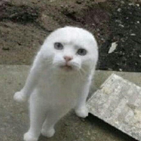 ogpinana (jadeyanh.lens) Lens social identity (.lens handle) PFP