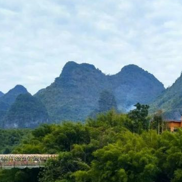 LOKO (taico.lens) Lens social identity (.lens handle) PFP