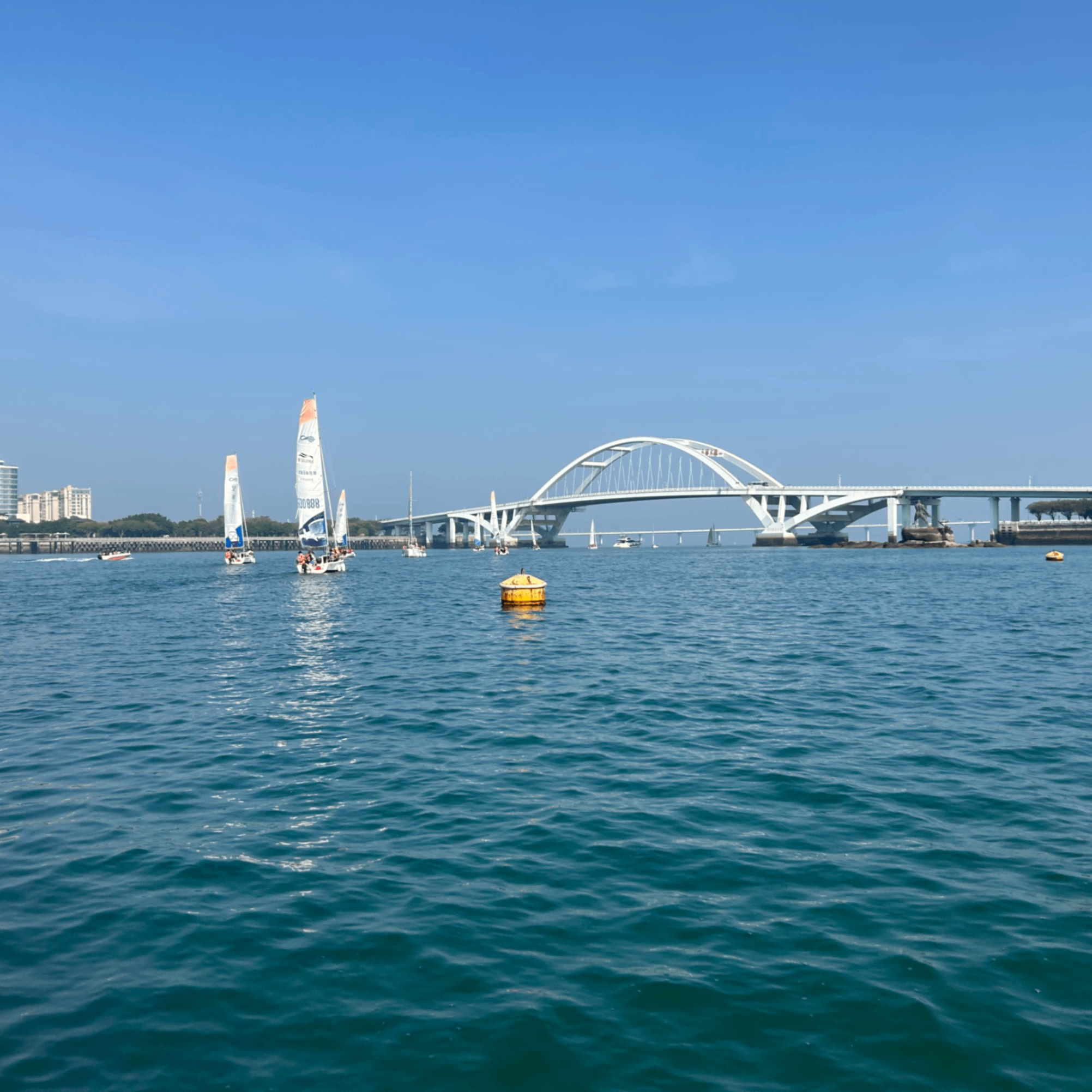 z29 (zksync29.lens) Lens social identity (.lens handle) PFP