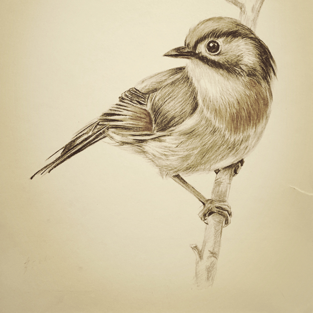 Kelly Lowell (wwwwx.lens) Lens social identity (.lens handle) PFP