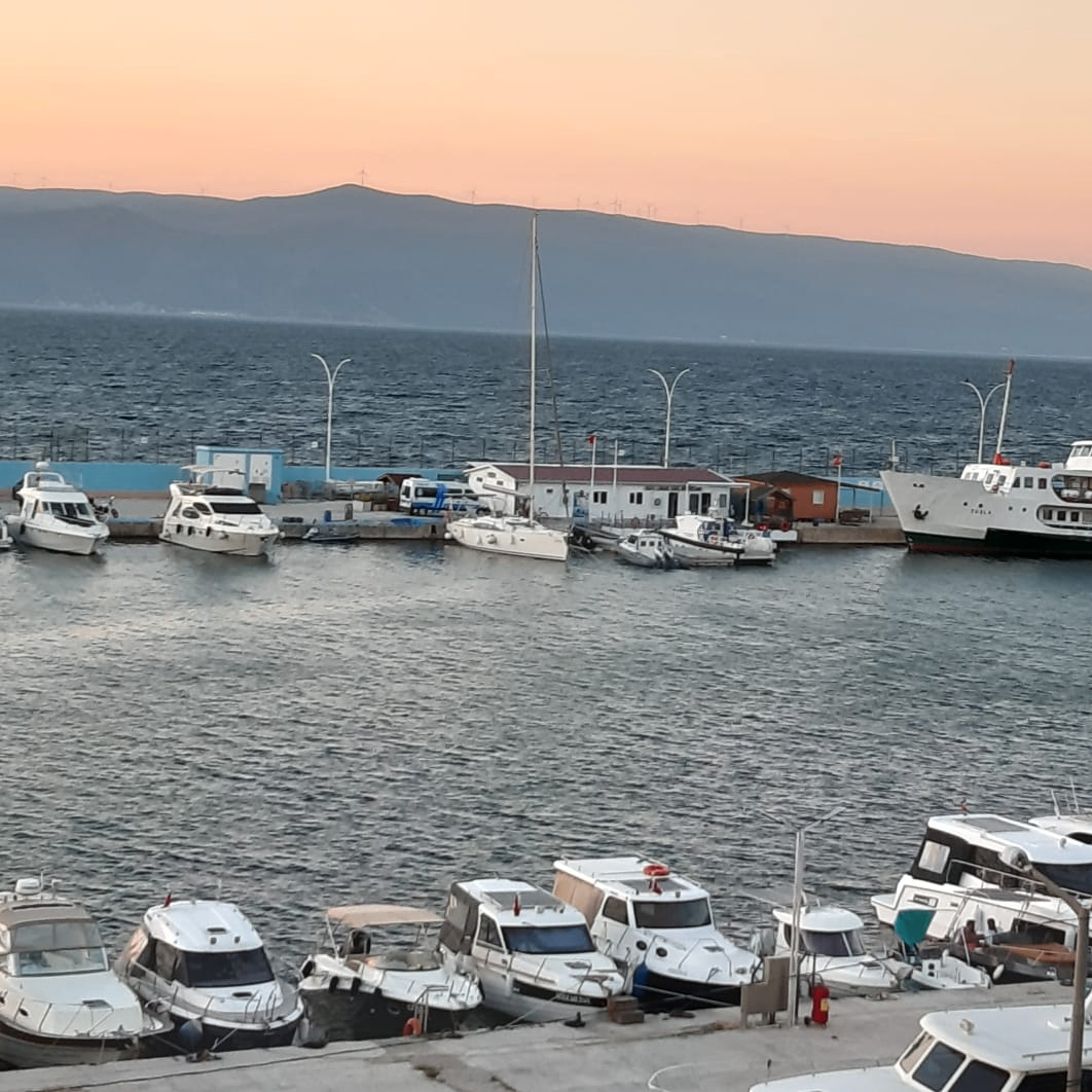 efkank (asked.lens) Lens social identity (.lens handle) PFP