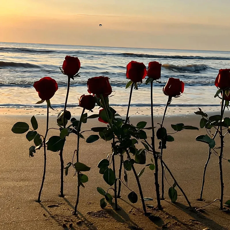 Ольга (andrewads.lens) Lens social identity (.lens handle) PFP