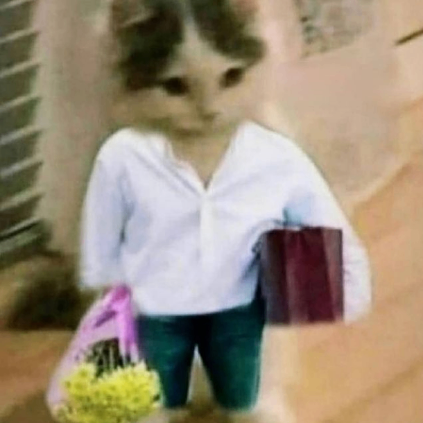 rugmedaily (rugmedaily.lens) Lens social identity (.lens handle) PFP