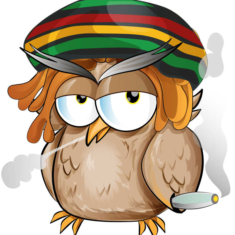 bitboss (getan.lens) Lens social identity (.lens handle) PFP