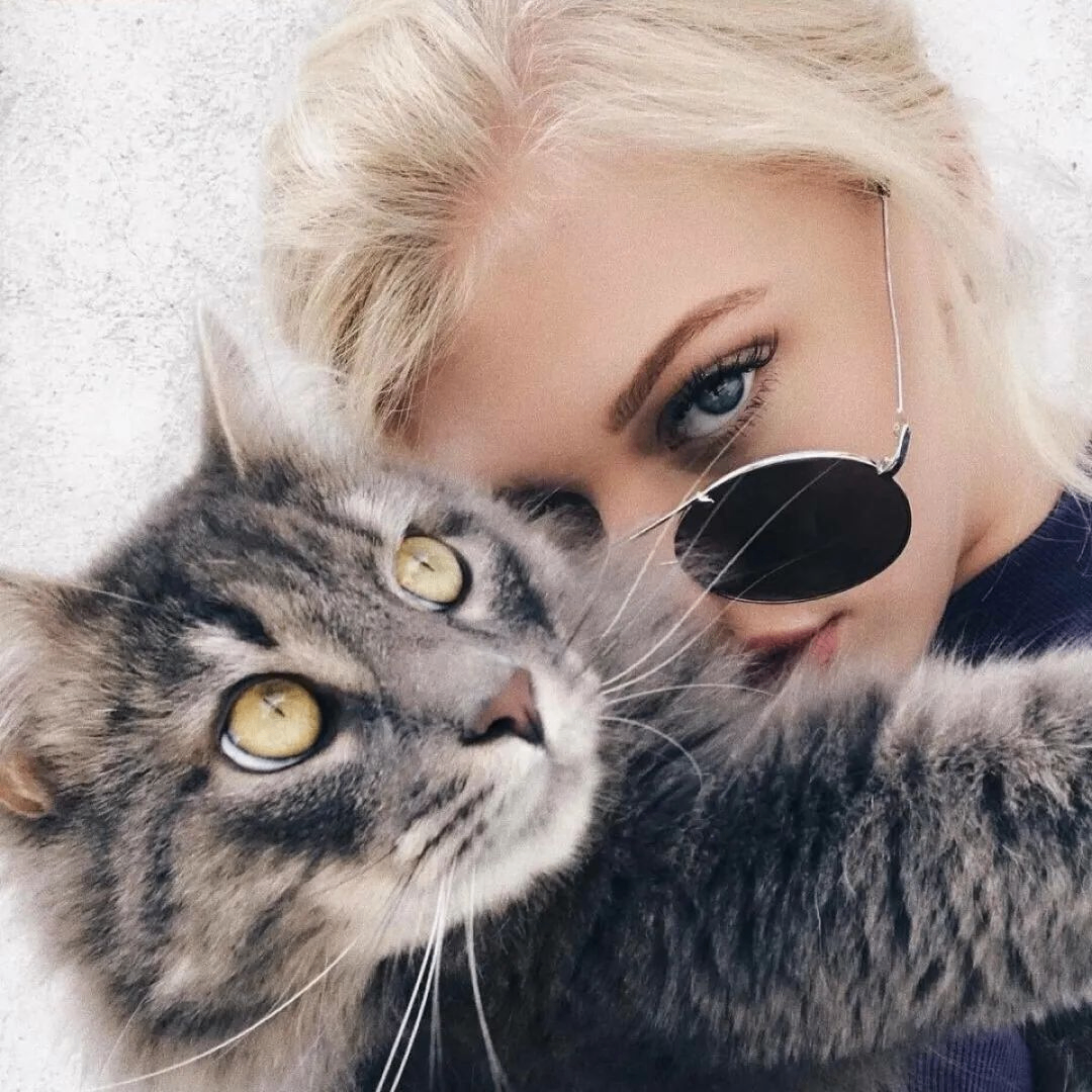 MinimalistMaverick (cosmicbro.lens) Lens social identity (.lens handle) PFP