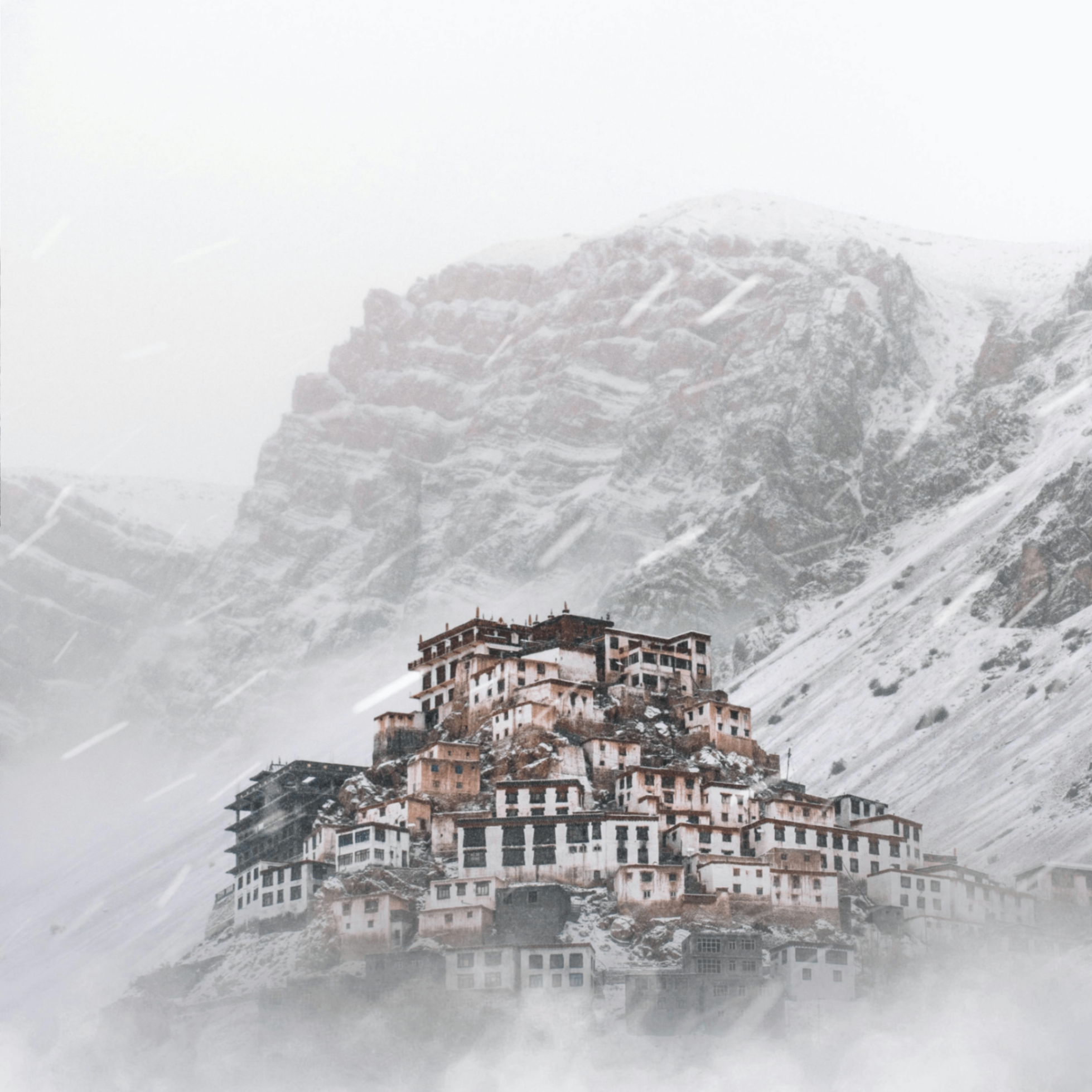 Turbe (turbe.lens) Lens social identity (.lens handle) PFP