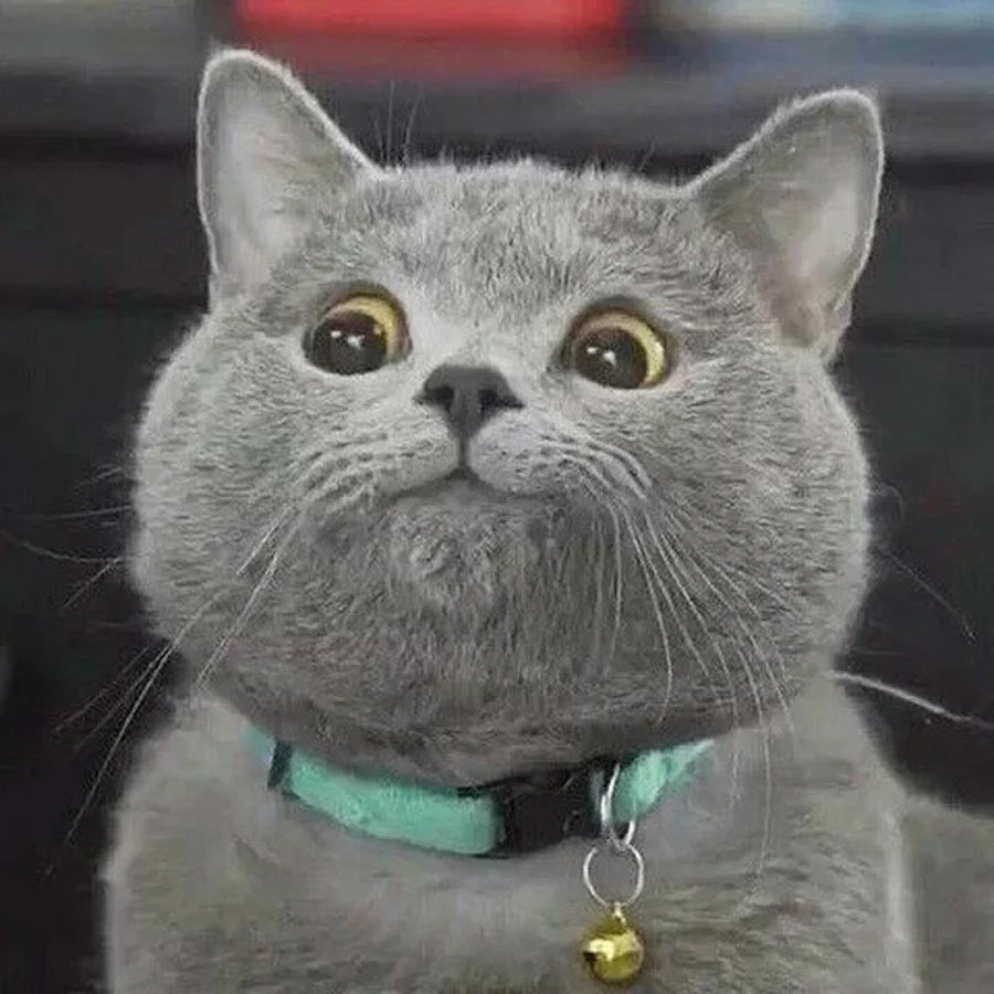 Pelo (nakipelo.lens) Lens social identity (.lens handle) PFP