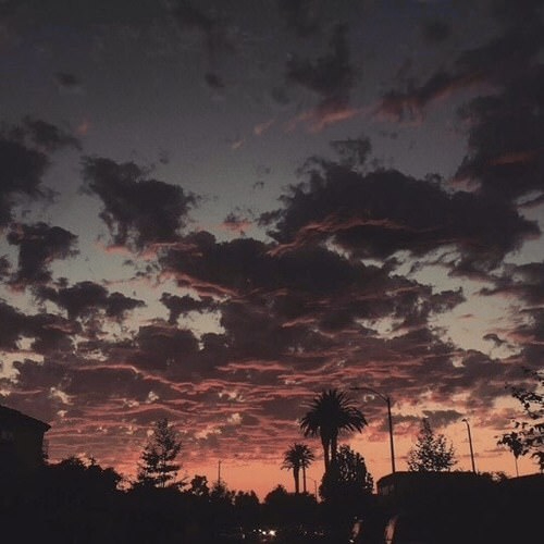 Finn (jaenal.lens) Lens social identity (.lens handle) PFP