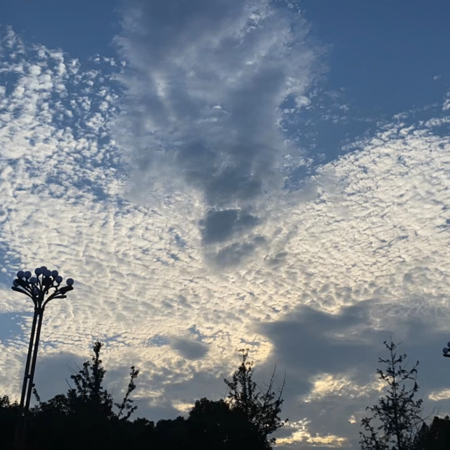 HYiiing (hyiiing.lens) Lens social identity (.lens handle) PFP