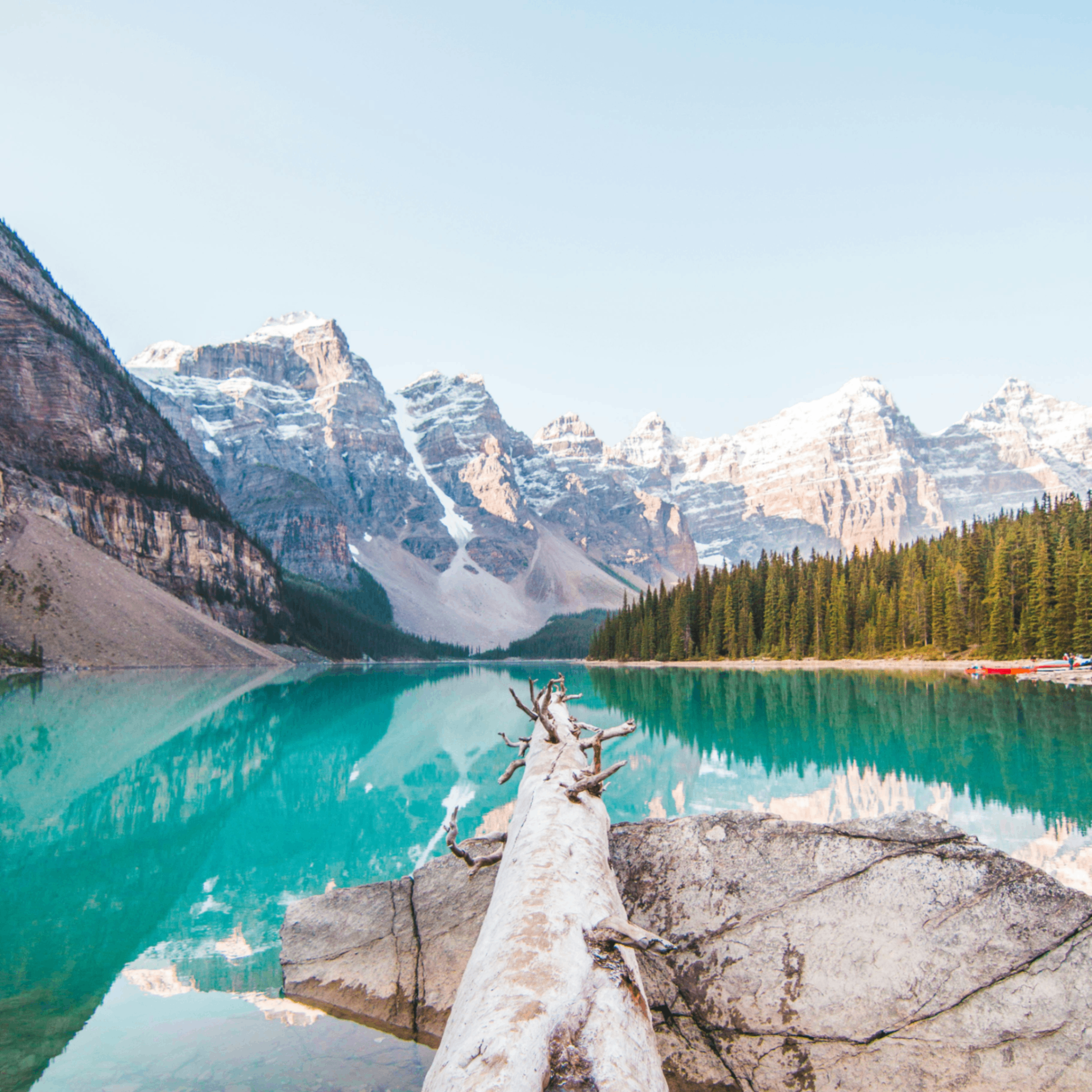 Fadec (fadec.lens) Lens social identity (.lens handle) PFP