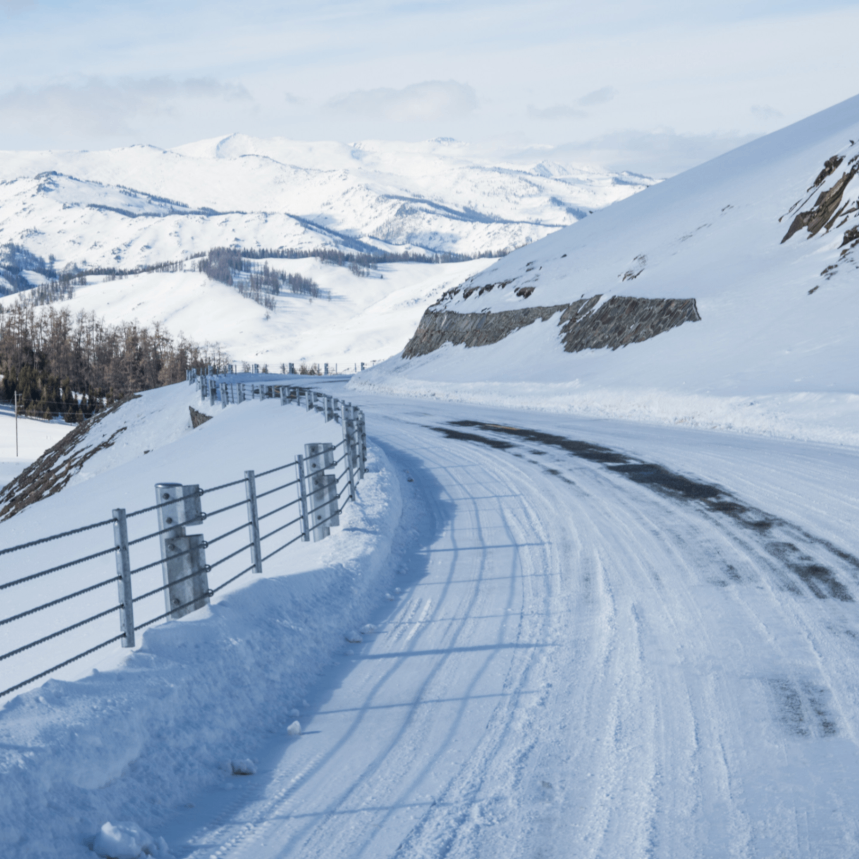 gvcb (giggy.lens) Lens social identity (.lens handle) PFP