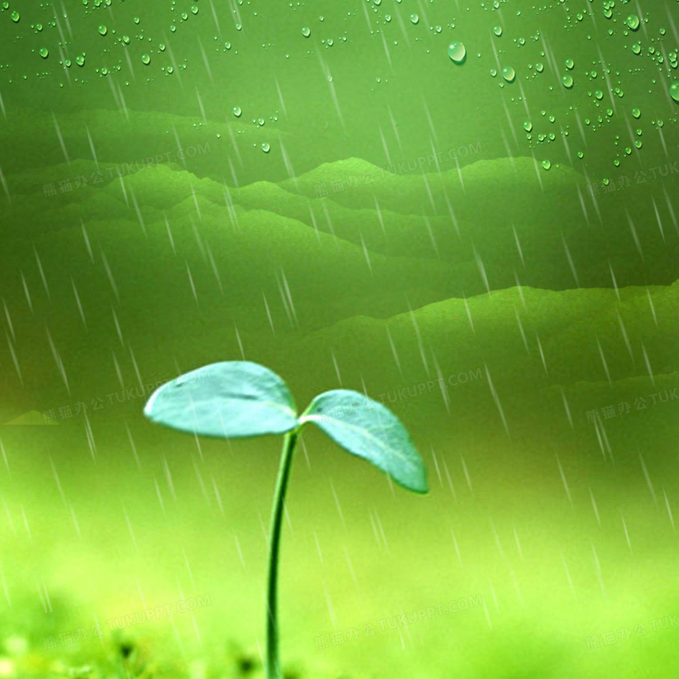 steer (7544444.lens) Lens social identity (.lens handle) PFP