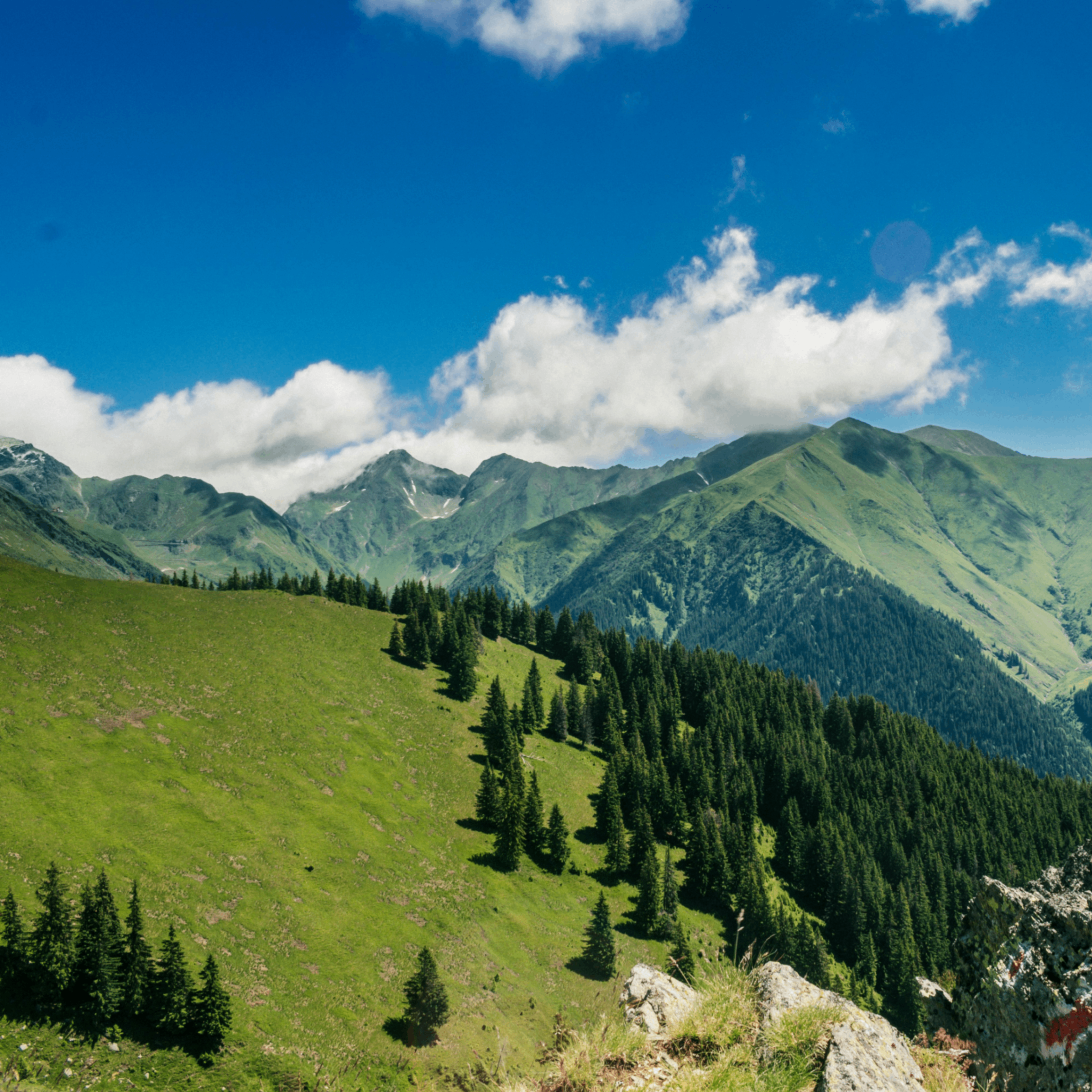 Konbe (konbe.lens) Lens social identity (.lens handle) PFP