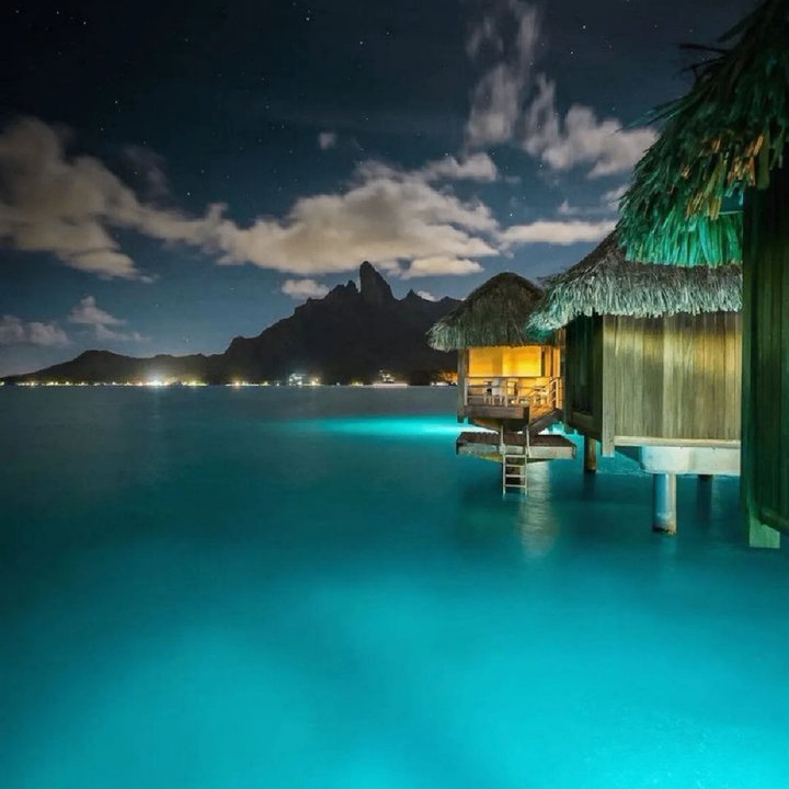 moyiyizhi (moyiyizhi.lens) Lens social identity (.lens handle) PFP