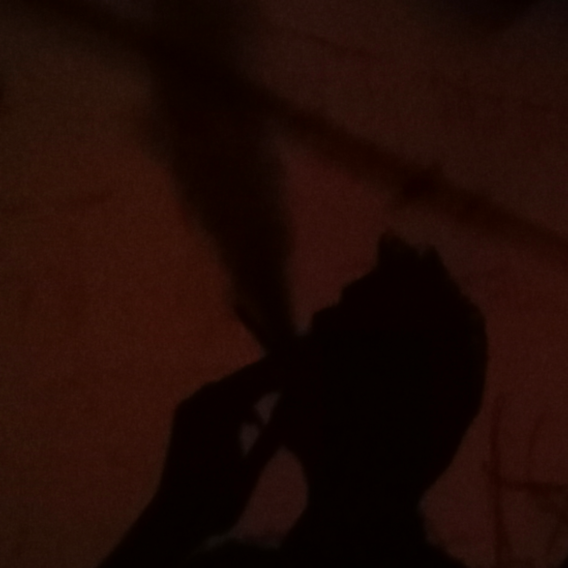 Badhon (howls.lens) Lens social identity (.lens handle) PFP