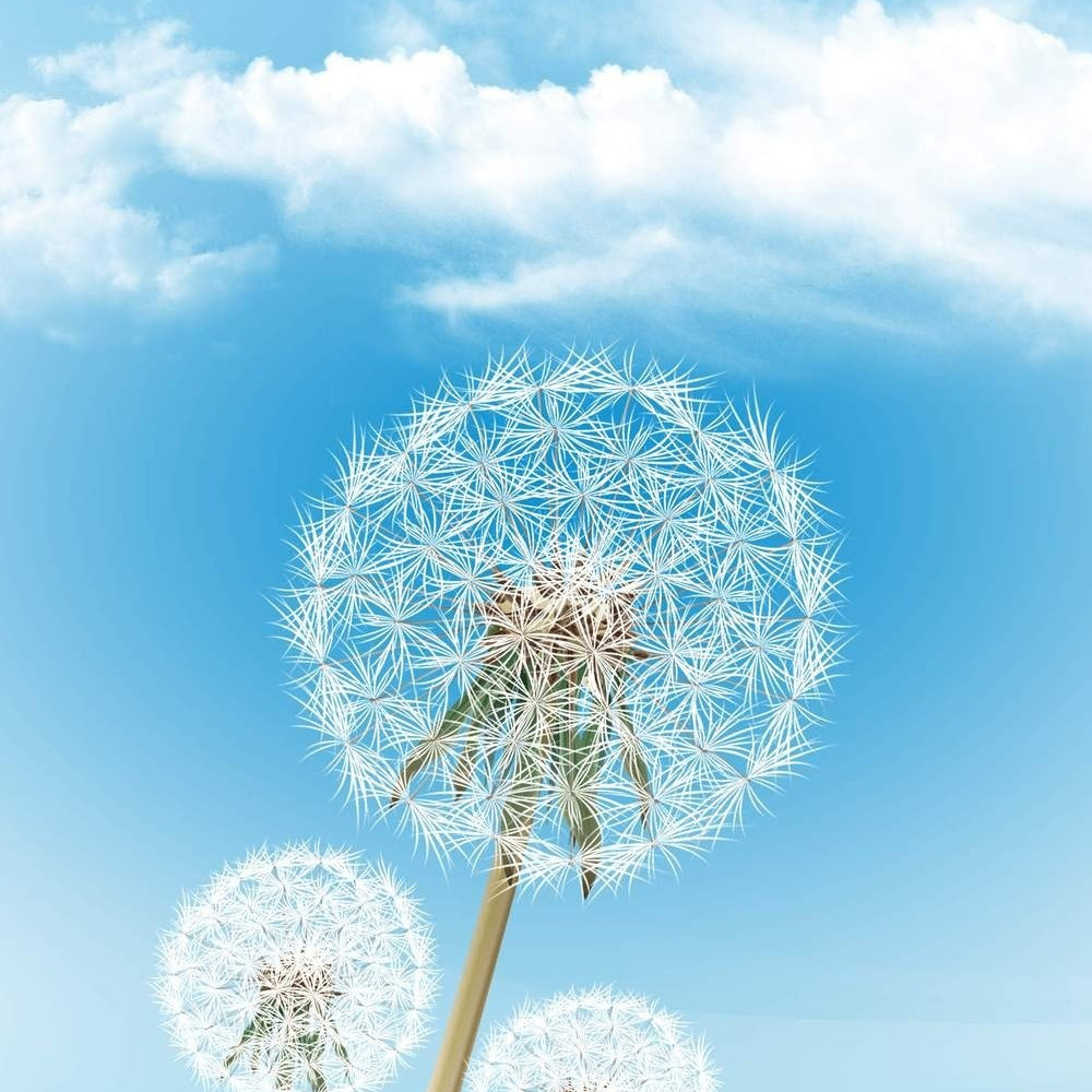 s7795133 (s7795133.lens) Lens social identity (.lens handle) PFP