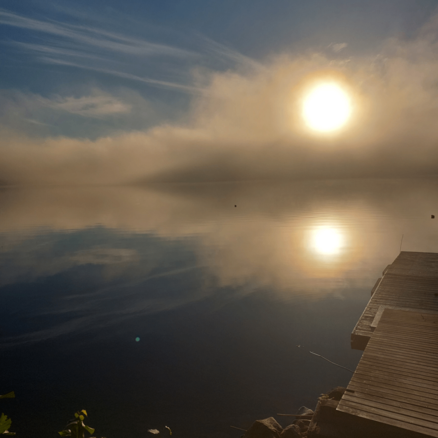 eero (eeroo.lens) Lens social identity (.lens handle) PFP