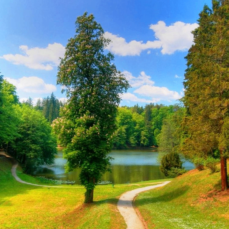 hskoa (hskoa.lens) Lens social identity (.lens handle) PFP