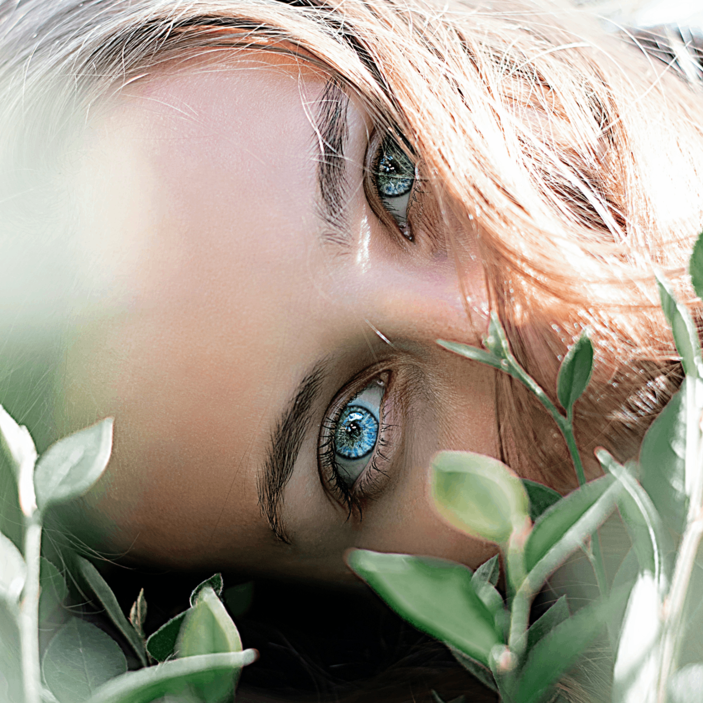 Jay upadhyay (pumba.lens) Lens social identity (.lens handle) PFP