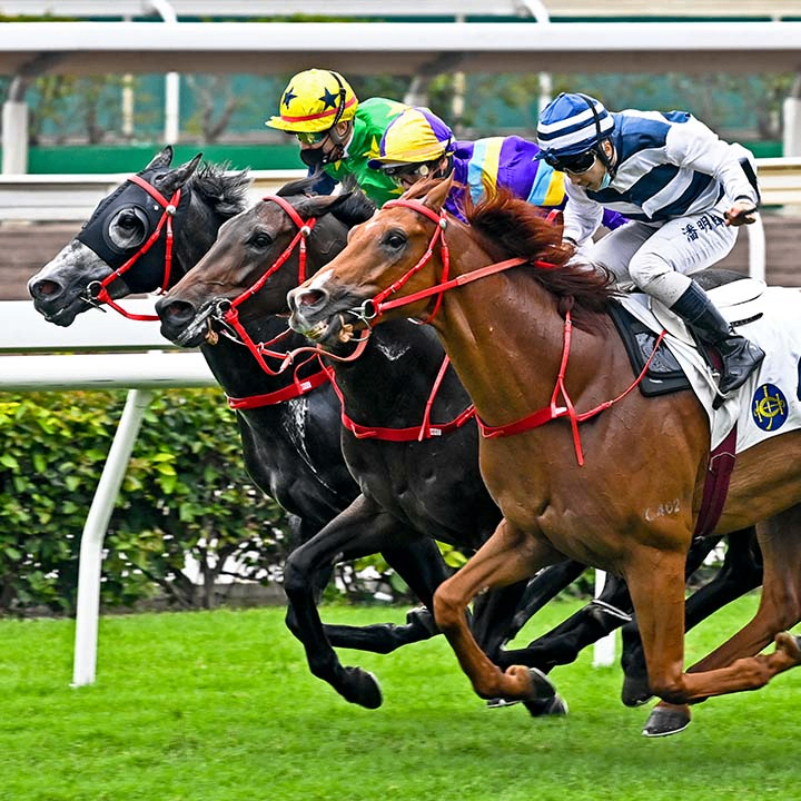 becseth (becseth.lens) Lens social identity (.lens handle) PFP