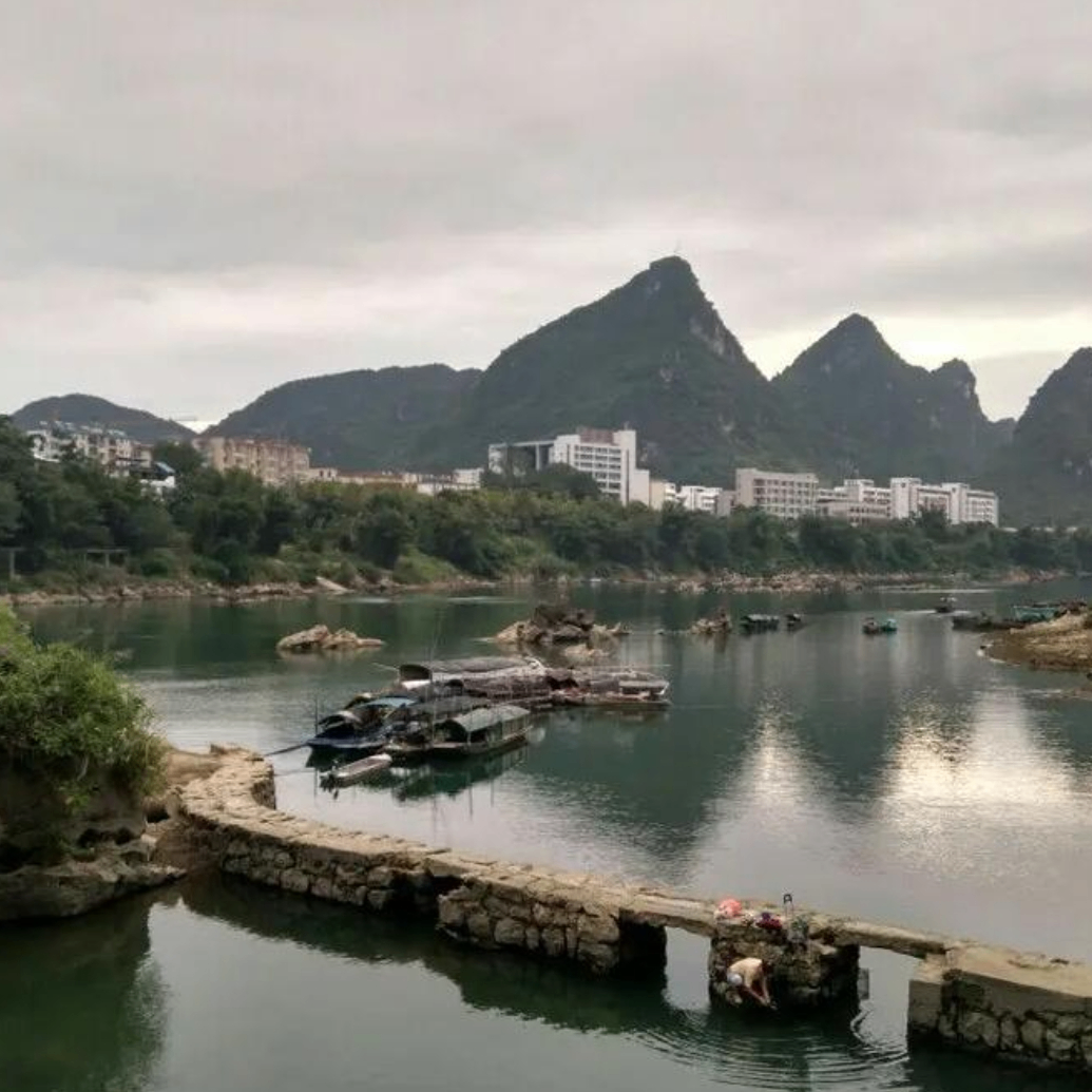 sdCARD (dsaee.lens) Lens social identity (.lens handle) PFP