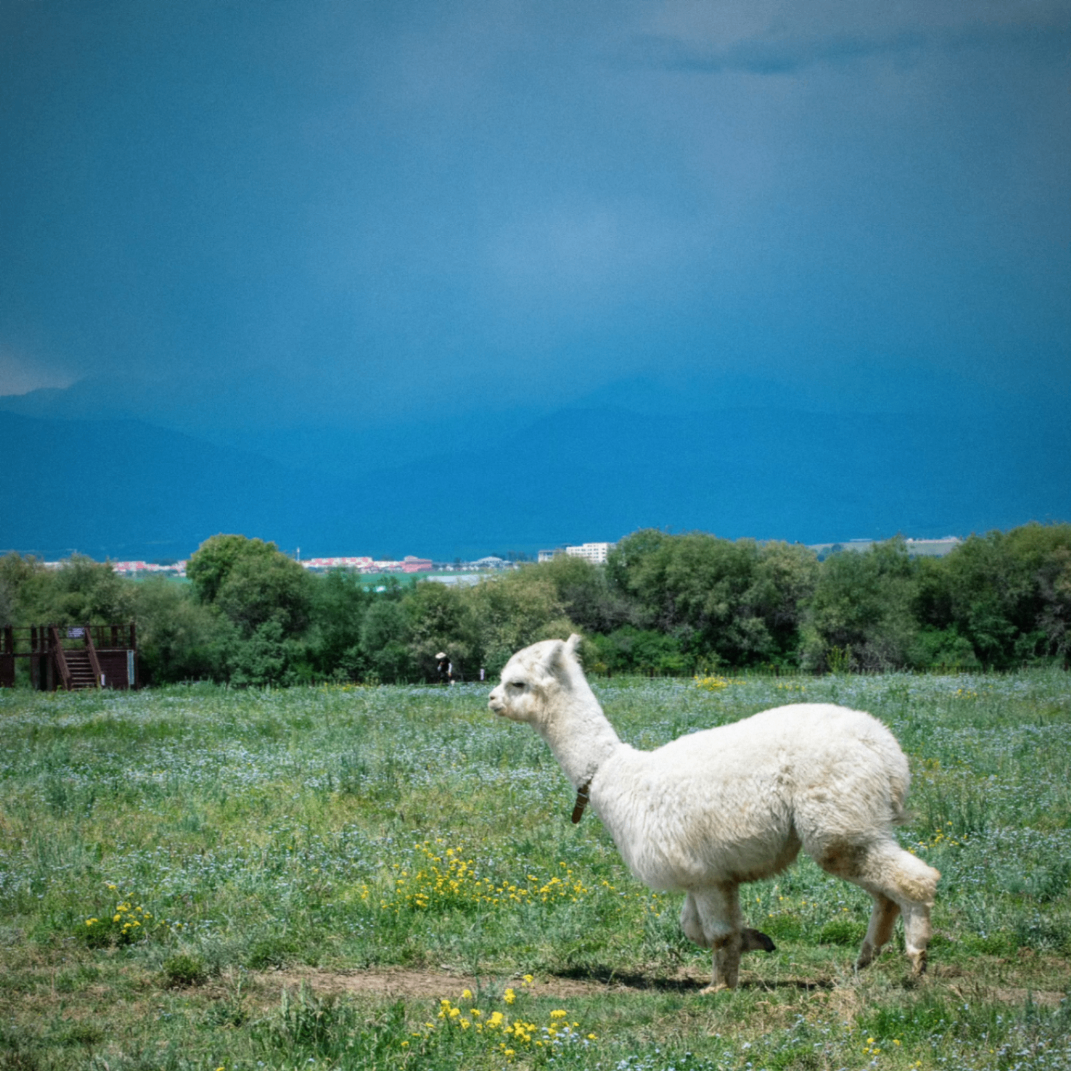 Alexander Clark (eternall.lens) Lens social identity (.lens handle) PFP