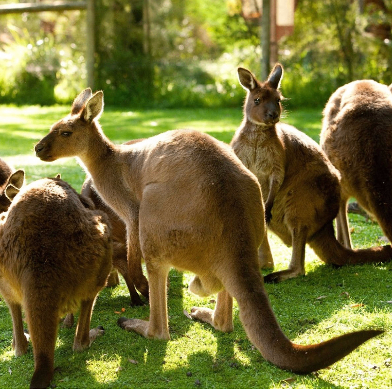 gcvbcvbvb (veeeee.lens) Lens social identity (.lens handle) PFP