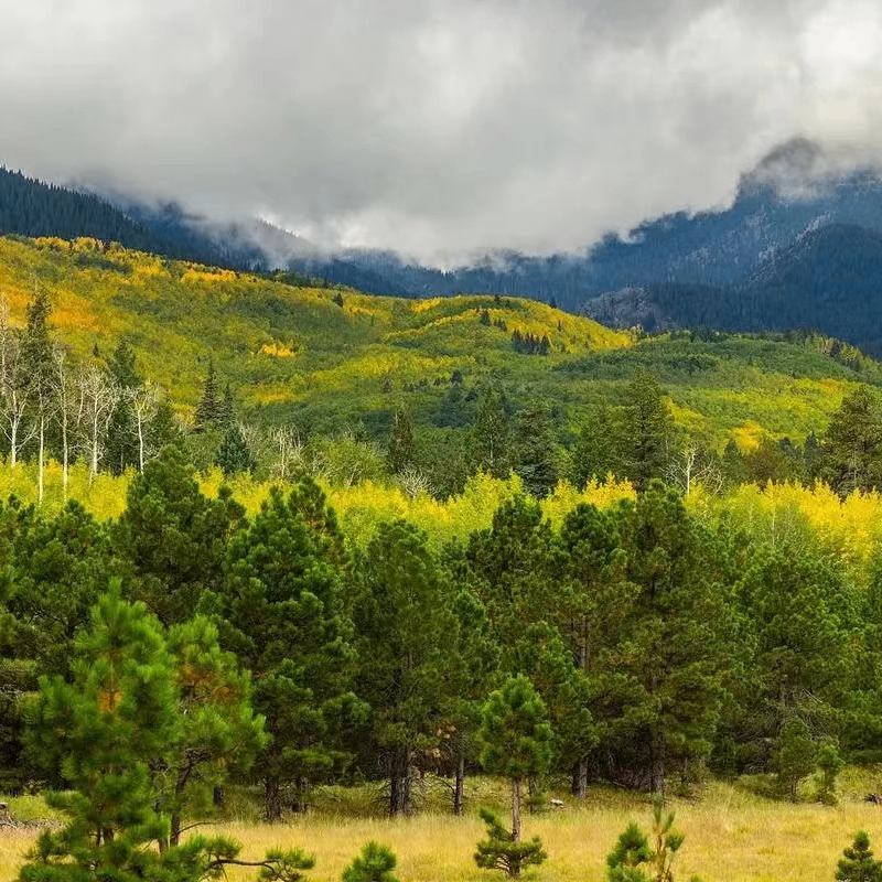 opdahb (opdahb.lens) Lens social identity (.lens handle) PFP