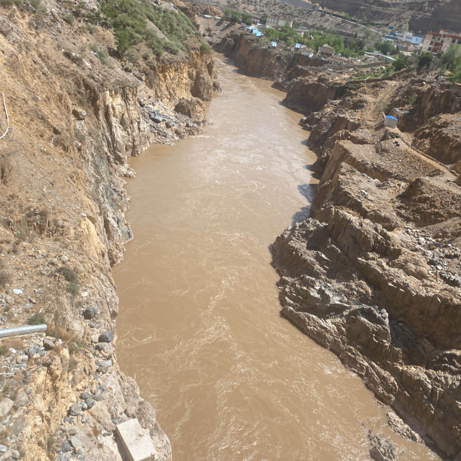 Honk! 🫡 (owoiwnssho.lens) Lens social identity (.lens handle) PFP