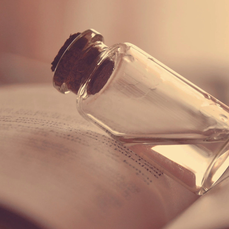 fg (voxtrix.lens) Lens social identity (.lens handle) PFP