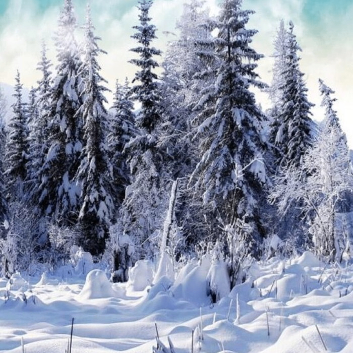 fcvxc (nexonix.lens) Lens social identity (.lens handle) PFP