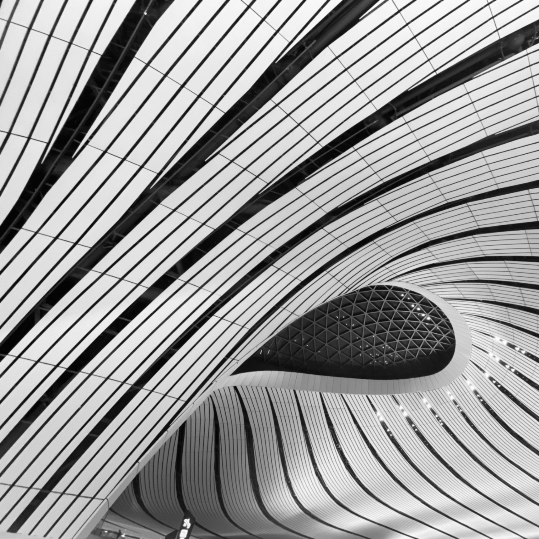 Gohon (gohon.lens) Lens social identity (.lens handle) PFP