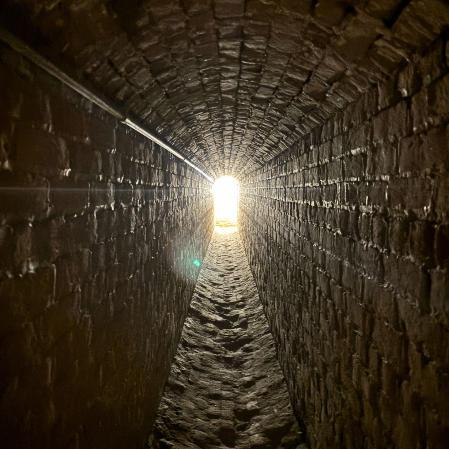 Nebula (nebula777.lens) Lens social identity (.lens handle) PFP