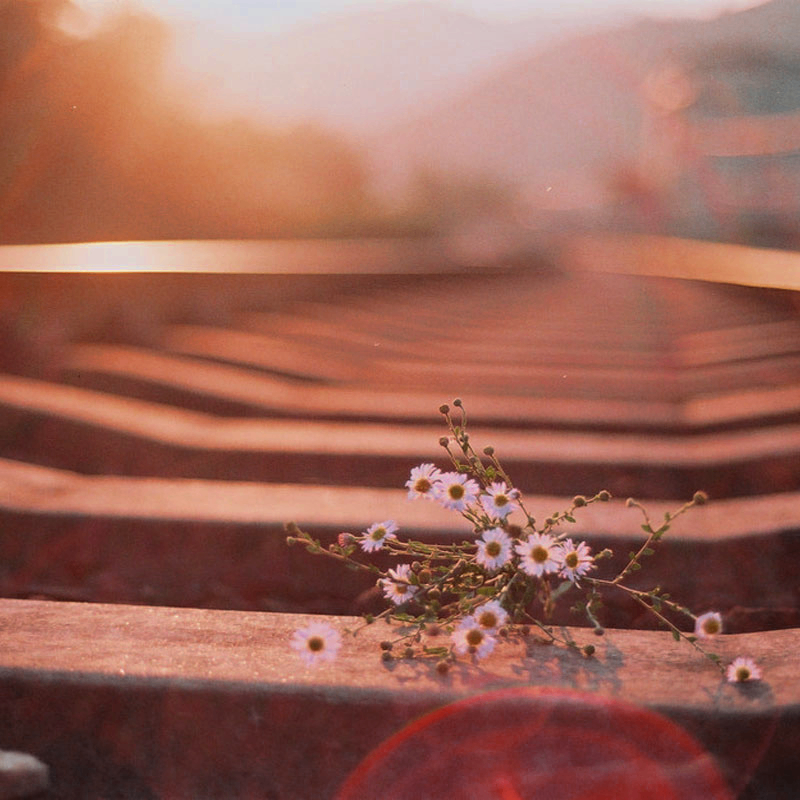 ret (bytez.lens) Lens social identity (.lens handle) PFP