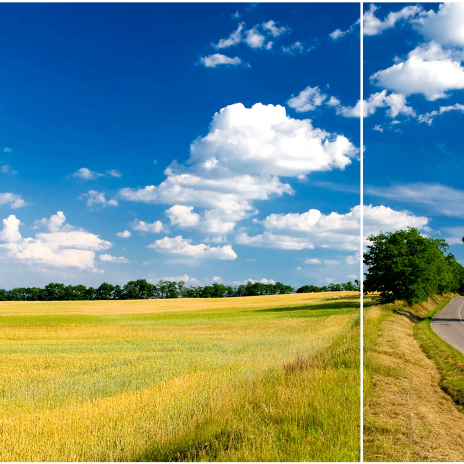 GF (yodel.lens) Lens social identity (.lens handle) PFP