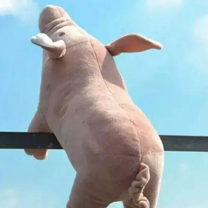 Stephen (asgic.lens) Lens social identity (.lens handle) PFP