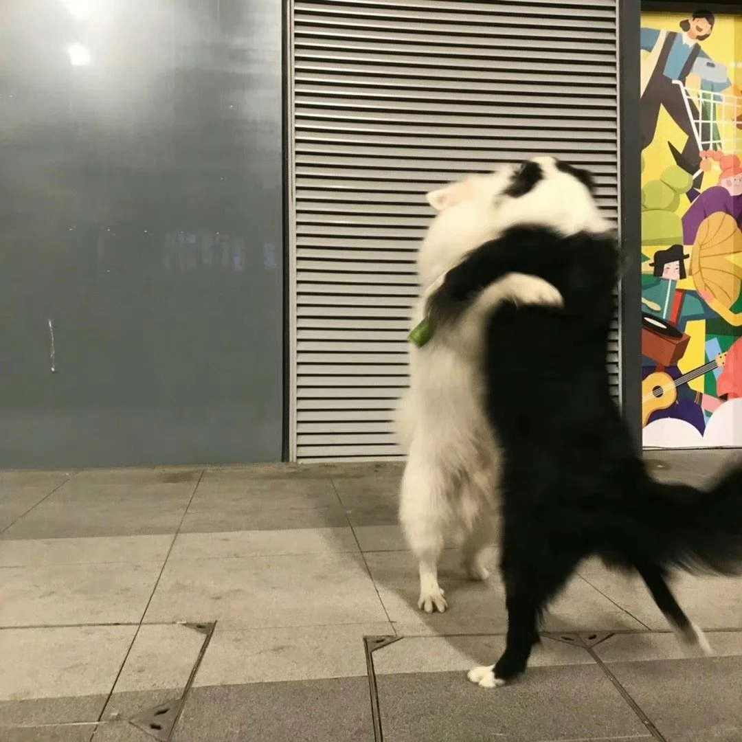 Nolan (wythecc.lens) Lens social identity (.lens handle) PFP