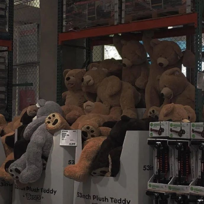 CAR (sw3se.lens) Lens social identity (.lens handle) PFP