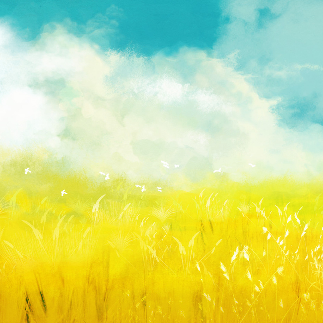 xczv (vizol.lens) Lens social identity (.lens handle) PFP