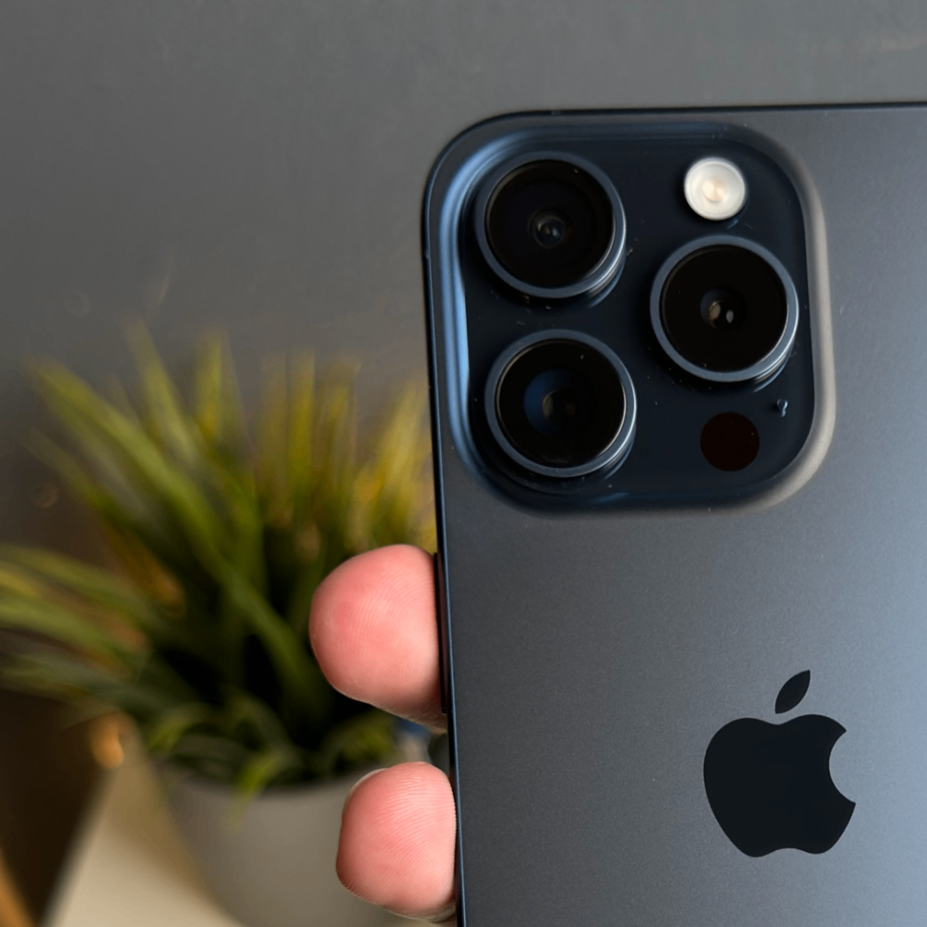 applehey (71112.lens) Lens social identity (.lens handle) PFP