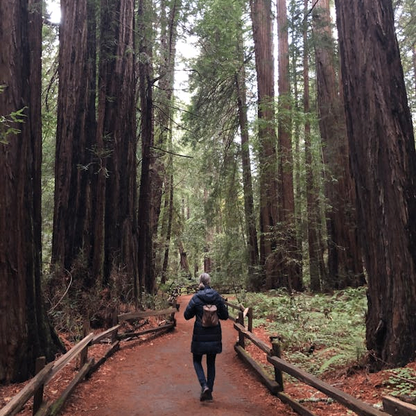 Isabeller (isabeller.lens) Lens social identity (.lens handle) PFP